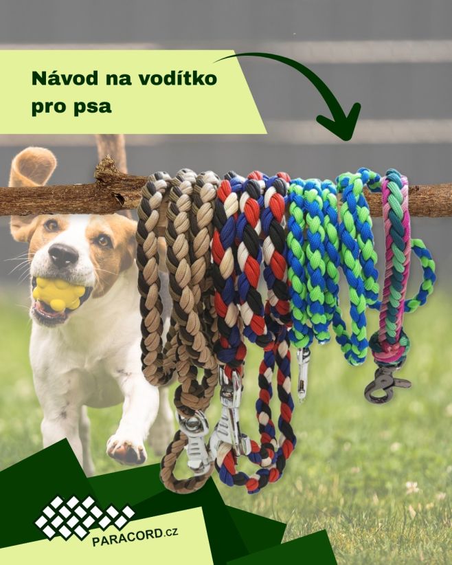 Chcete, aby i váš čtyřnohý parťák nosil stylové a odolné vodítko? 🐕 S námi si ho zvládnete vyrobit sami – stačí trocha...